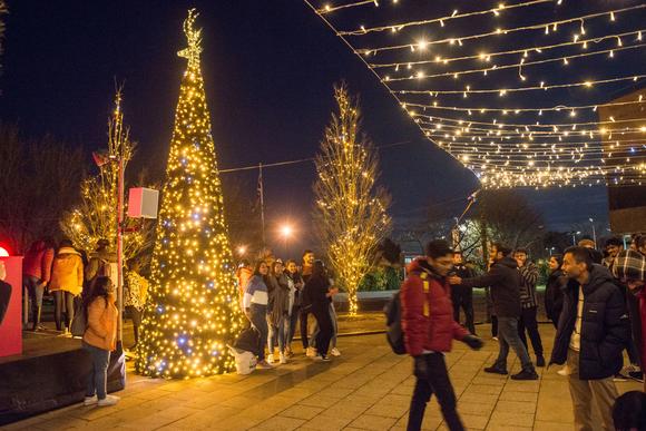 A photo of the lit up christmas trees on the piazza. Lots of people are standing around them taking photos