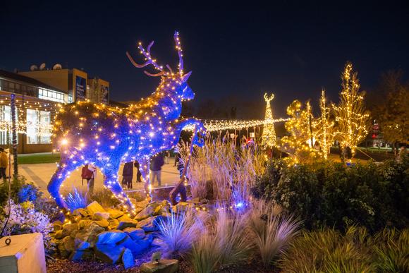 A photo of the lit up stag statue on the piazza. There are also lit up christmas trees in the background