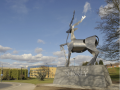 Stag Hill campus