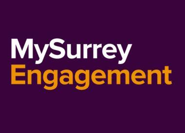 MySurrey Engagement