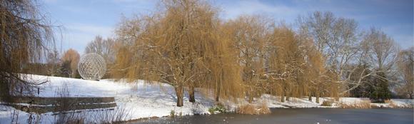 Wintery scene of Stag Hill campus covered in snow